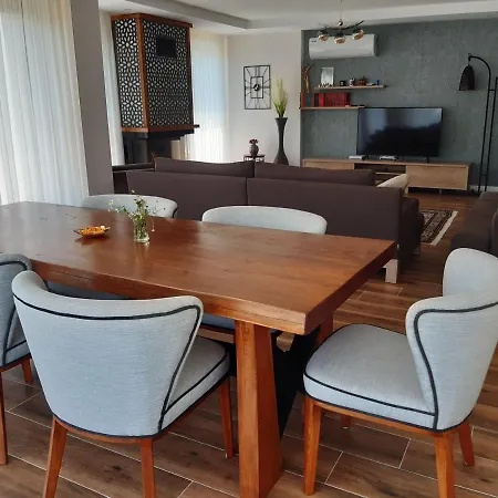 Villa Timur Bey Sakarya (Marmara)