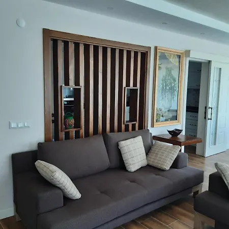 Timur Bey Villa Sakarya (Marmara)